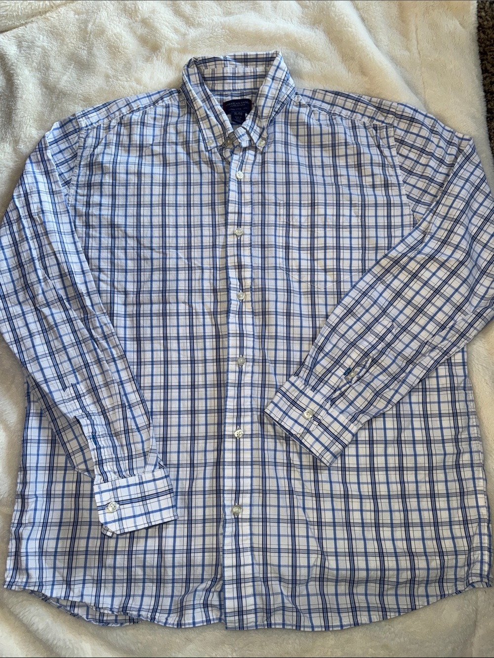 American Eagle Outfitters White and Blue Checked Button-Down Shirt